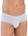 Clever 1605 Spirit Briefs Gray