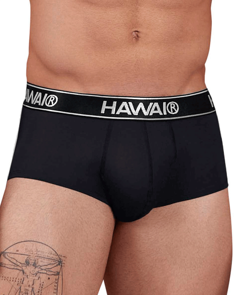Hawai 41961 Microfiber Briefs Black