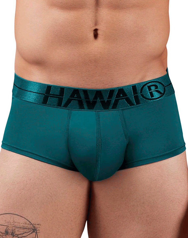 Hawai 41961 Microfiber Briefs Green