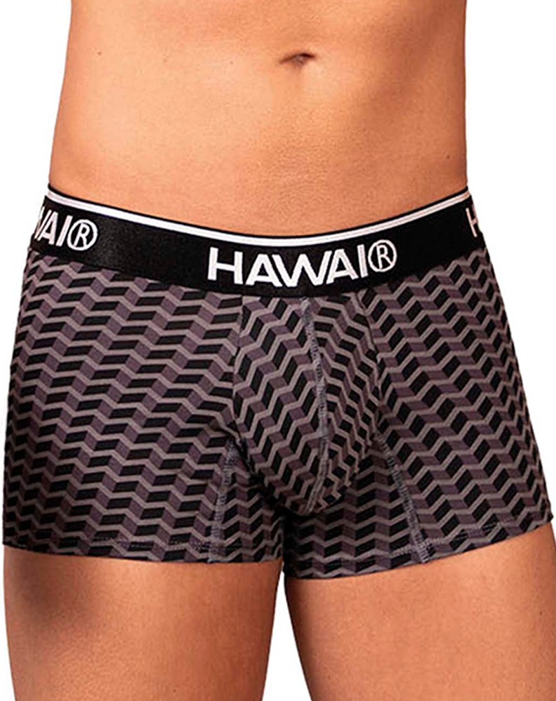 Hawai 42371 Printed Trunks Gray