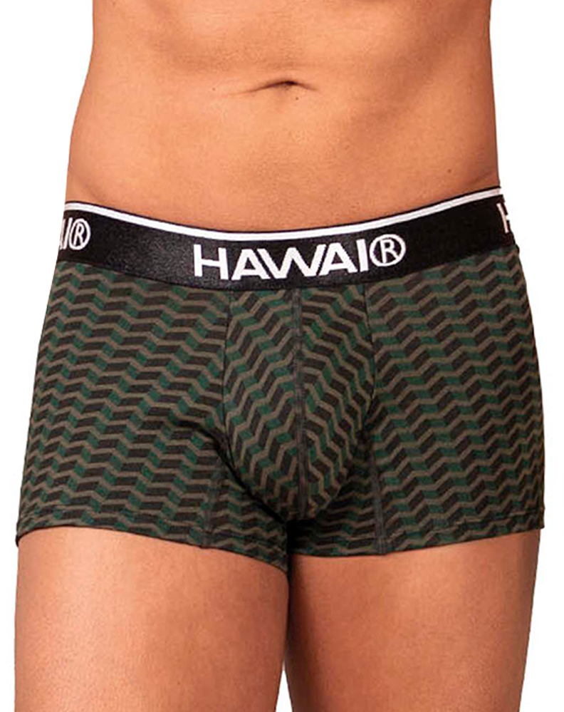 Hawai 42371 Printed Trunks Green