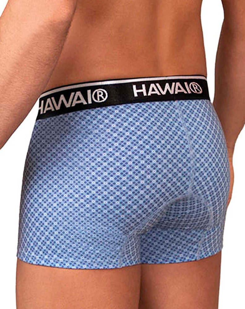 Hawai 42421 Printed Trunks Blue