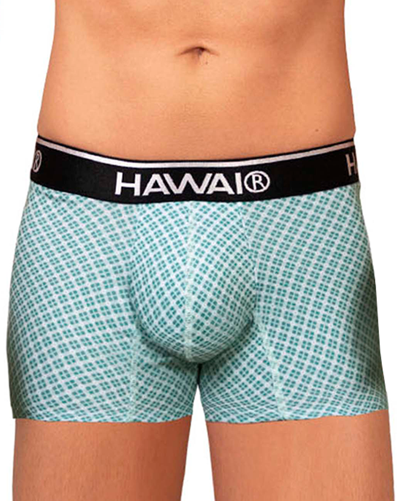 Hawai 42421 Printed Trunks Green