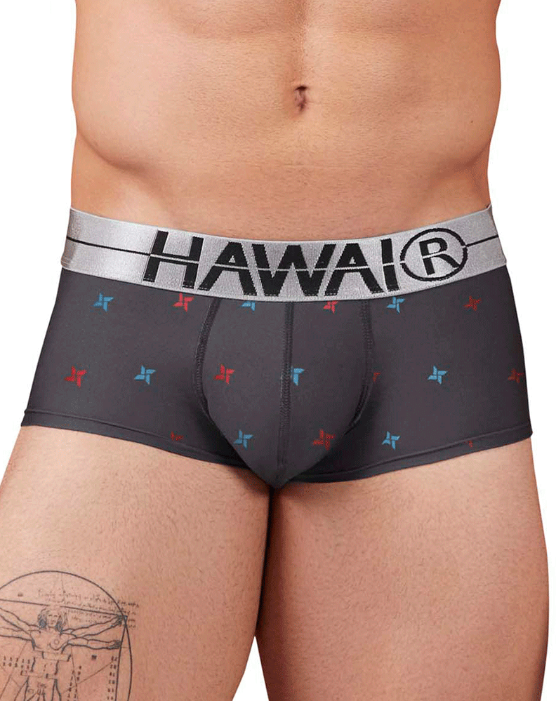 Hawai 42530 Printed Microfiber Briefs Gray