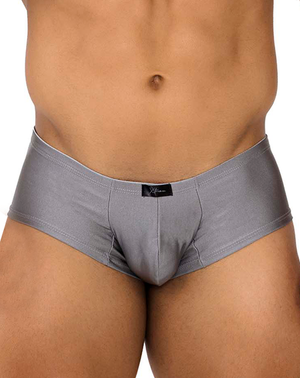 Xtremen 91180 Microfiber Trunks Silver