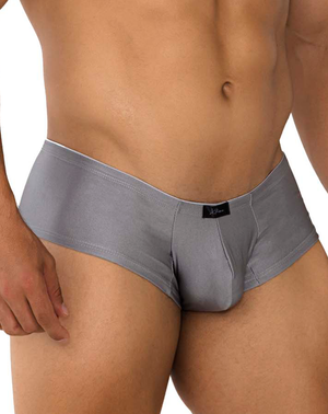 Xtremen 91180 Microfiber Trunks Silver