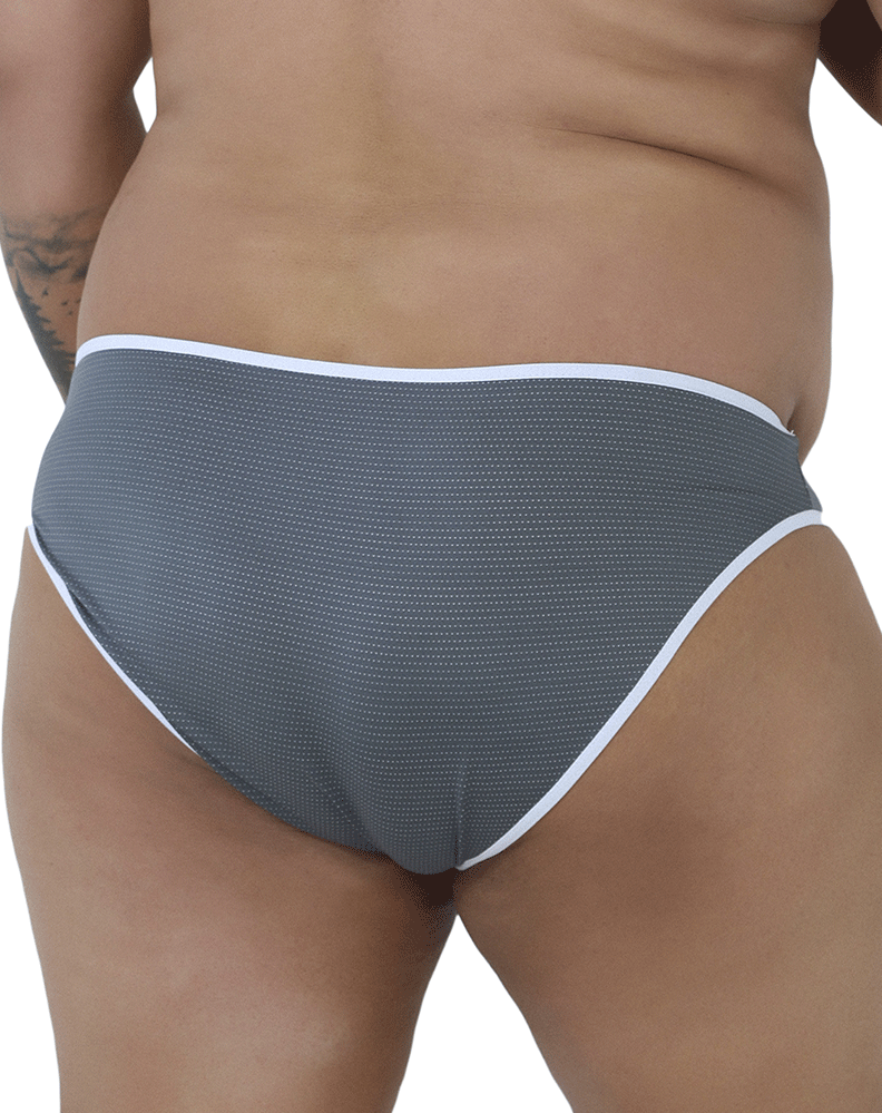 Xtremen 91021x Microfiber Briefs Plus Size